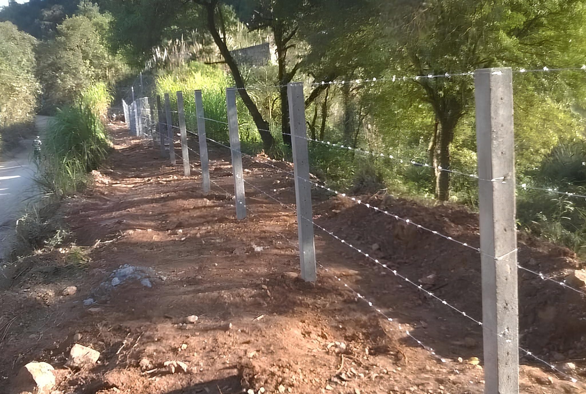 WhatsApp Image 2023-08-18 at 10.36.14