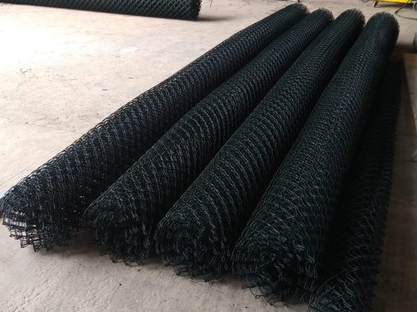 WhatsApp Image 2023-09-05 at 19.55.04